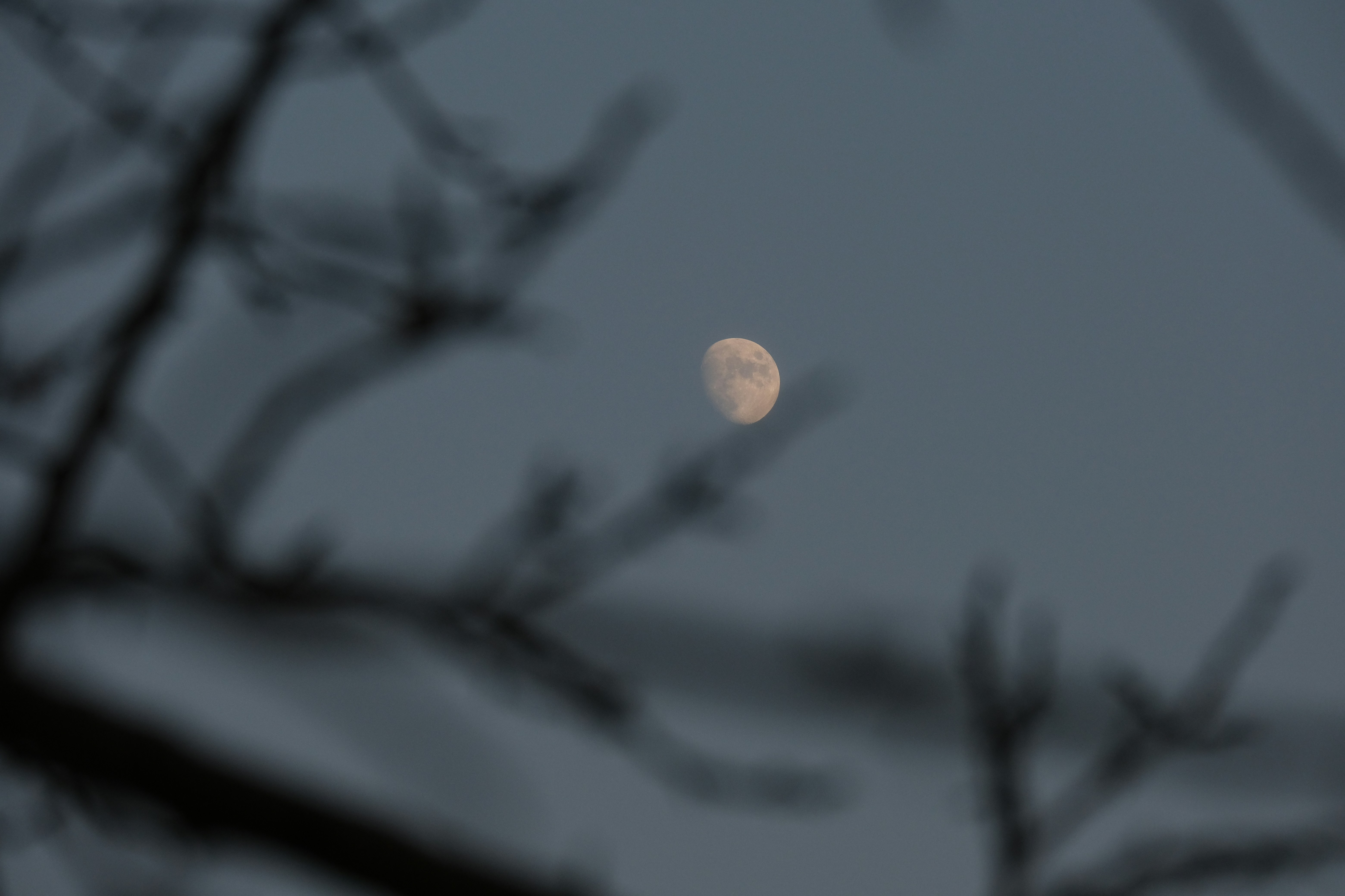 Photo by fenchangyin