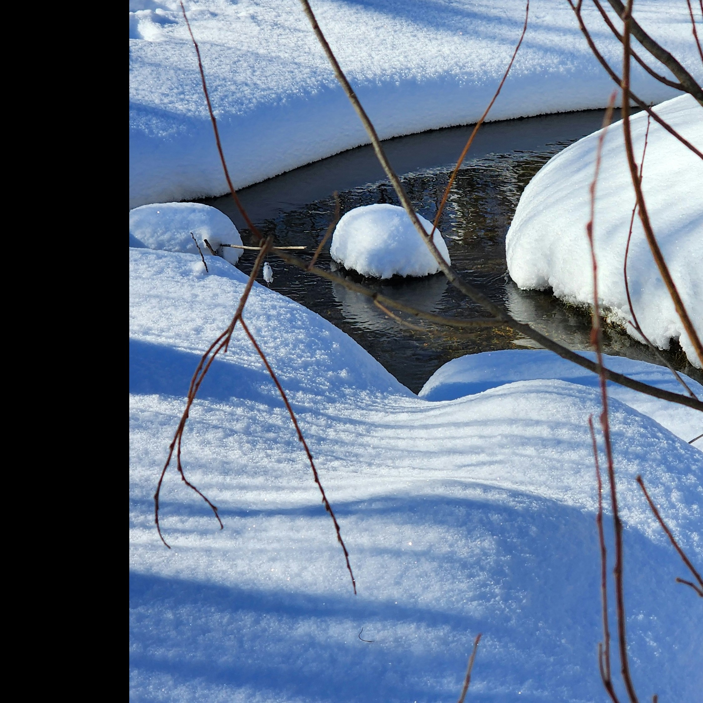 a stream running through a snow covered forest