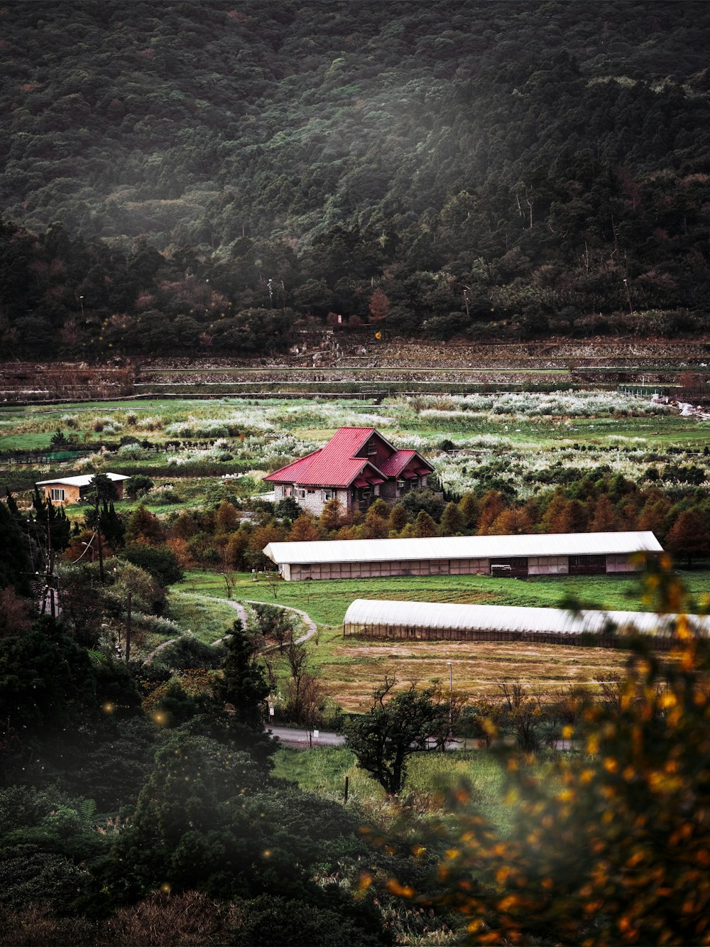 a farm with a barn and a red roof