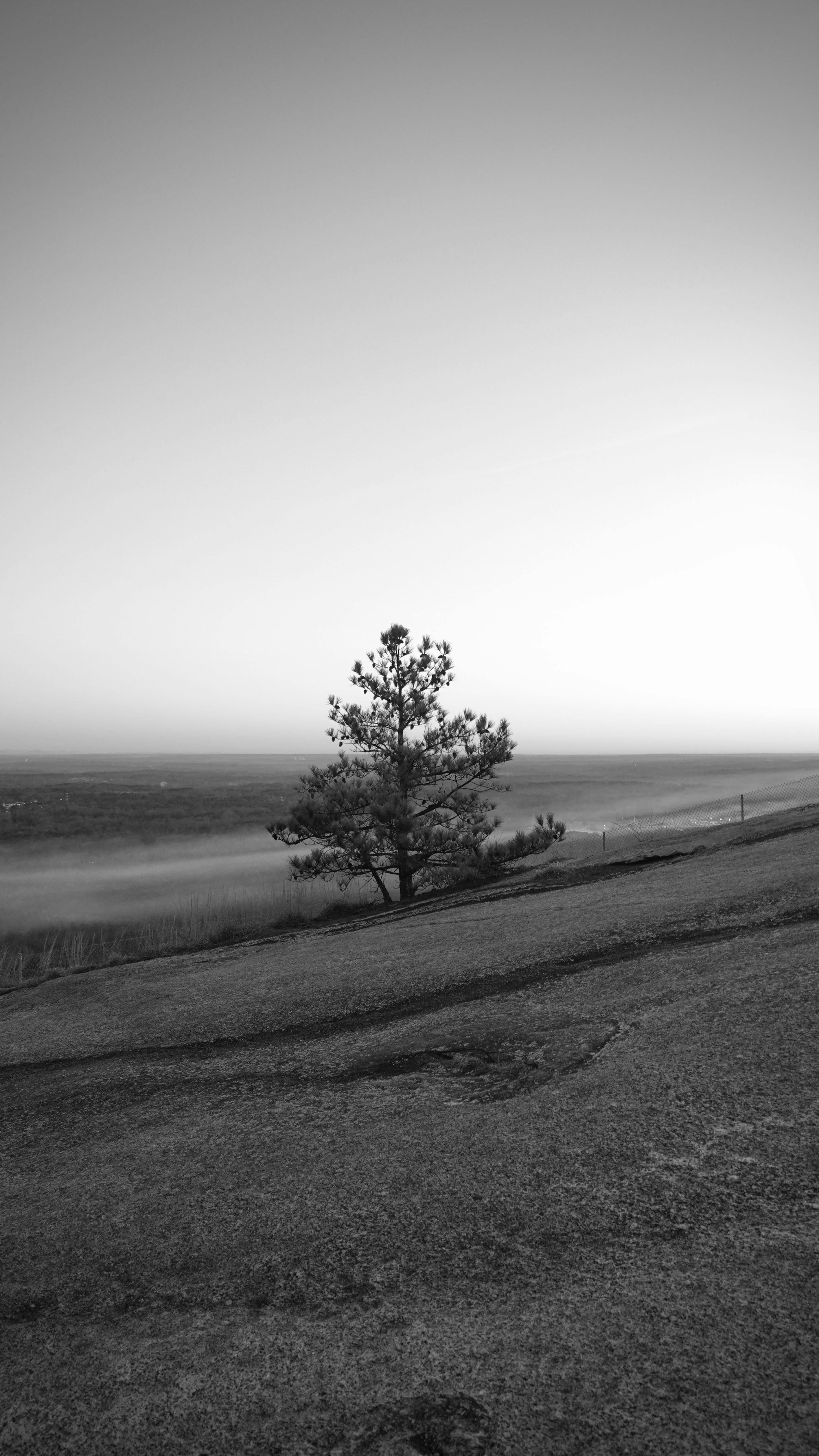 Photo by sid_suratia