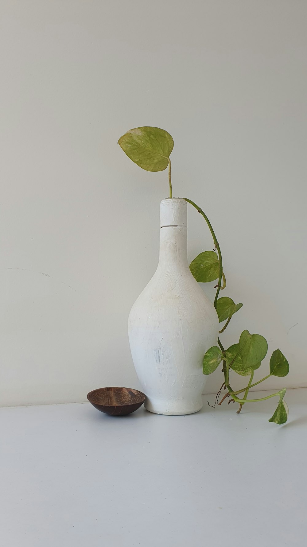 a white vase with a green plant in it