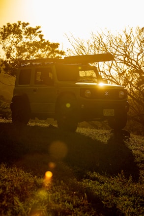 A warm brown-toned photo of a safari jeep driving through golden grasslands at sunset.
