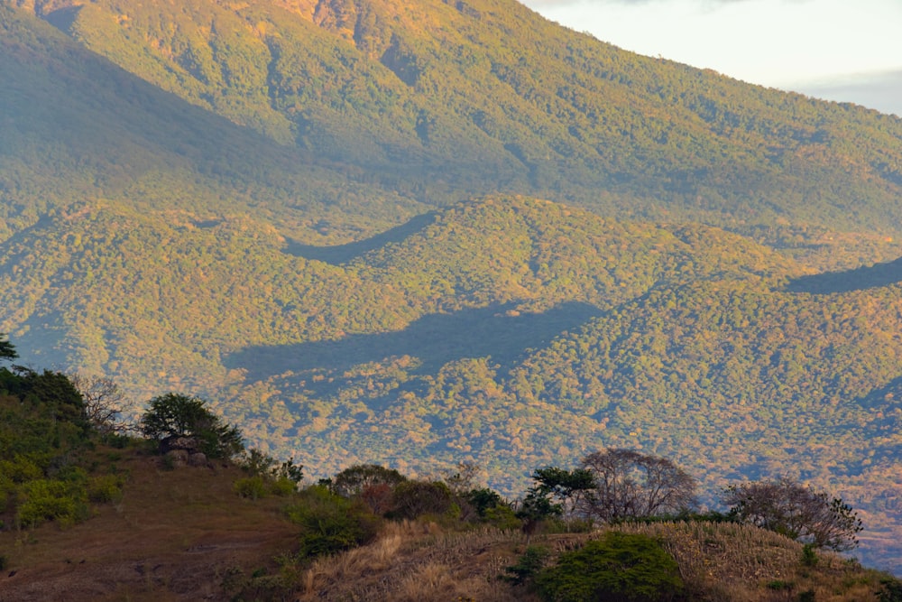 a view of a mountain range with trees on the side