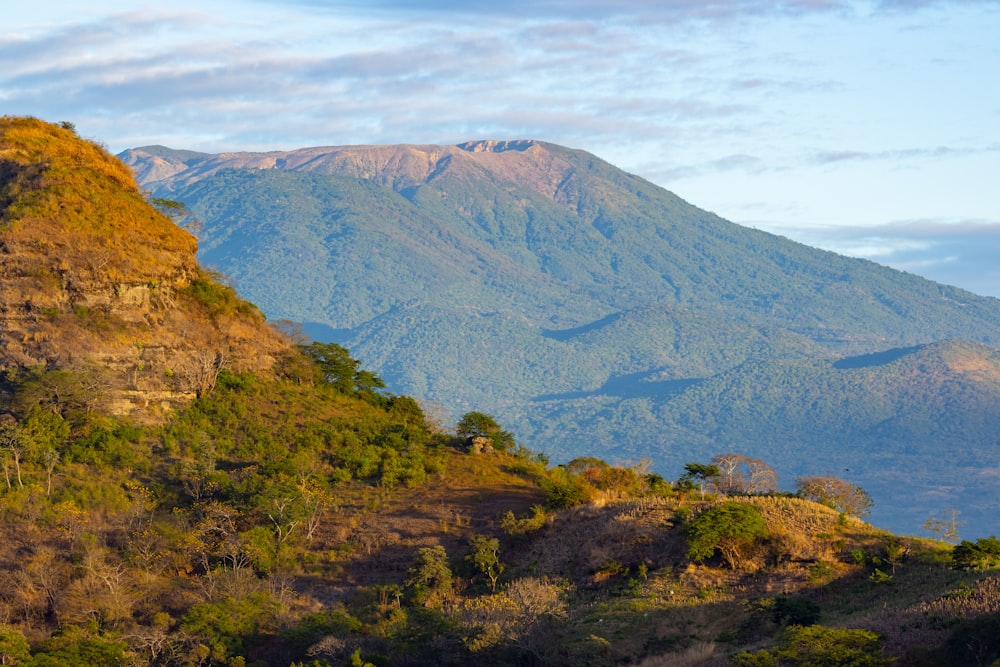 木々や山々を背景にした山の眺め