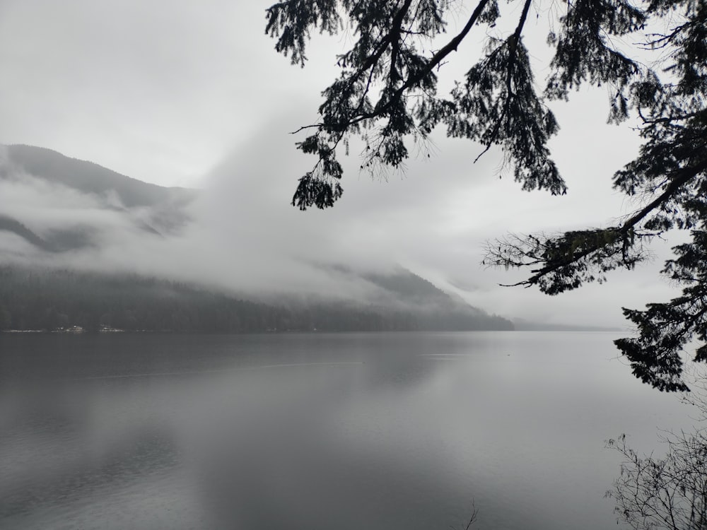 a large body of water surrounded by trees