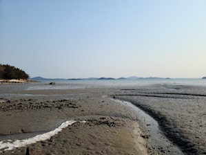 A serene coastal view representing the Texas coastline.