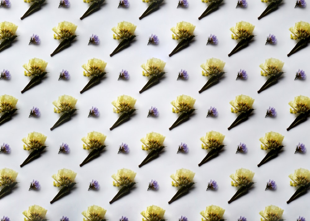 하얀 표면 위에 앉아 있는 꽃다발