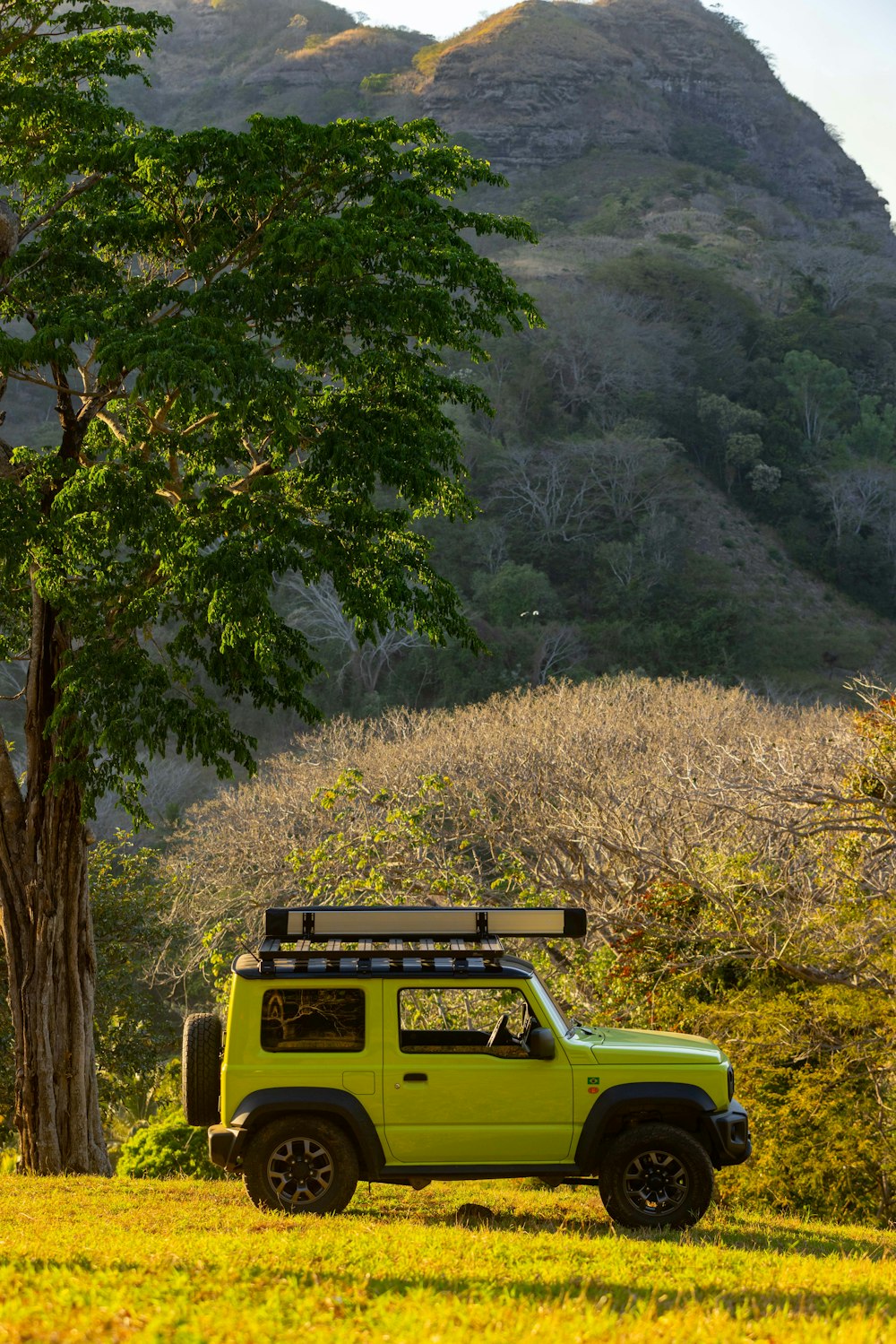 a green jeep parked in a field next to a tree