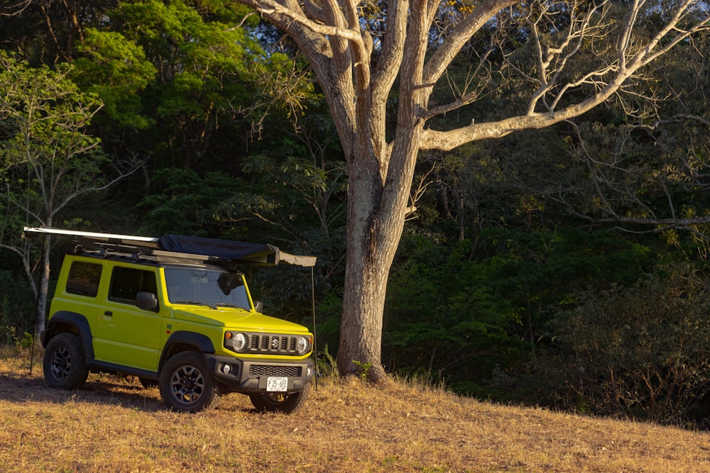 a yellow jeep parked in a field next to a tree