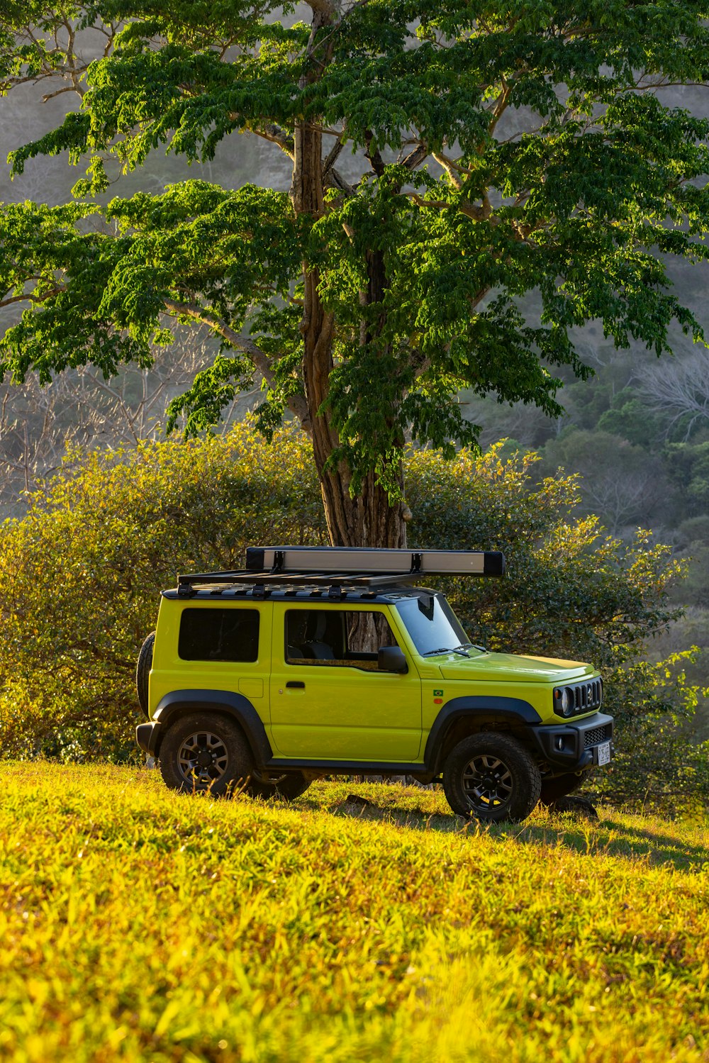 a yellow jeep parked under a tree in a field