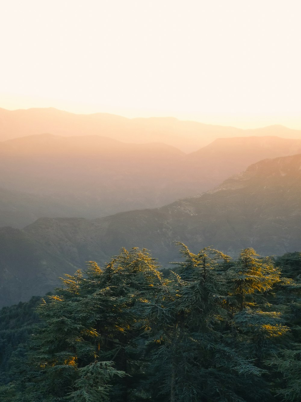 a view of a mountain range with trees in the foreground