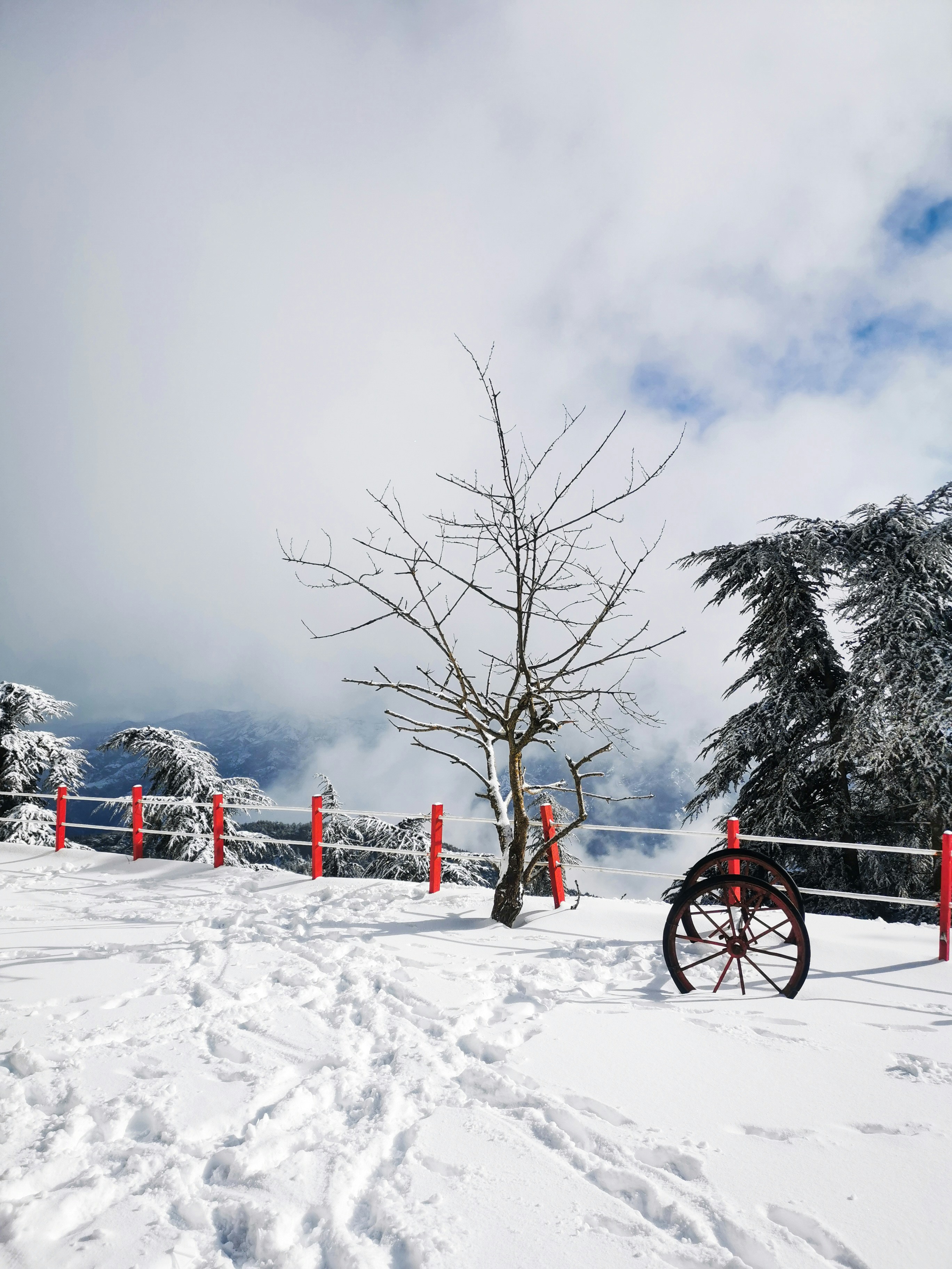 Photo by fethibenattallah