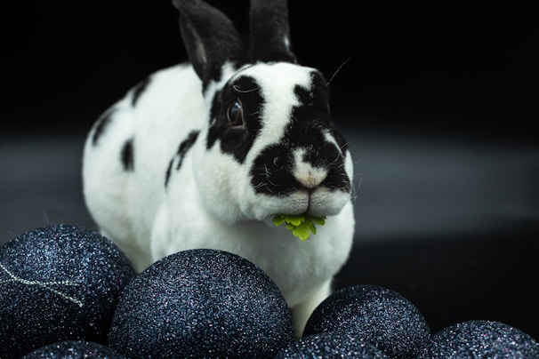 Cute cartoon rabbit munching on a carrot with vibrant background