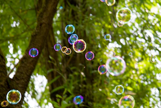 A vibrant illustration of Claraméndez, the nature star, holding a tree-shaped SolidTreeBoard, surrounded by water and soap bubbles.