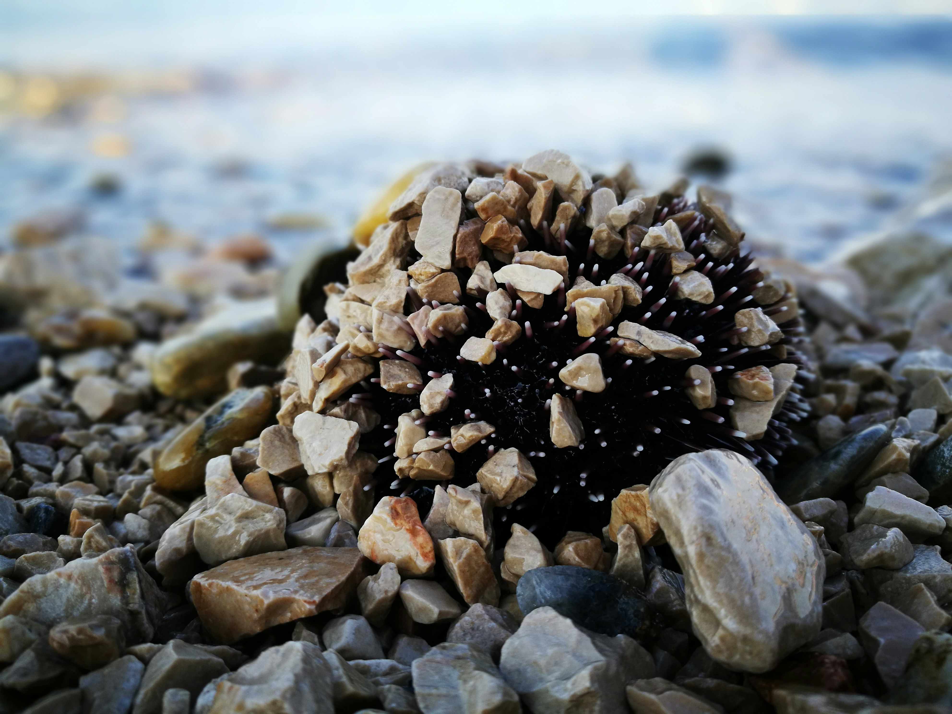 a close up of rocks and gravel on a beach