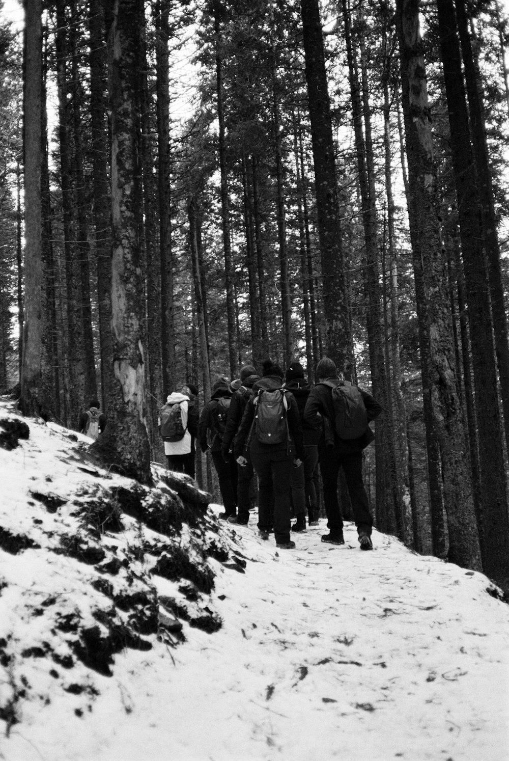 a group of people walking up a snow covered hill