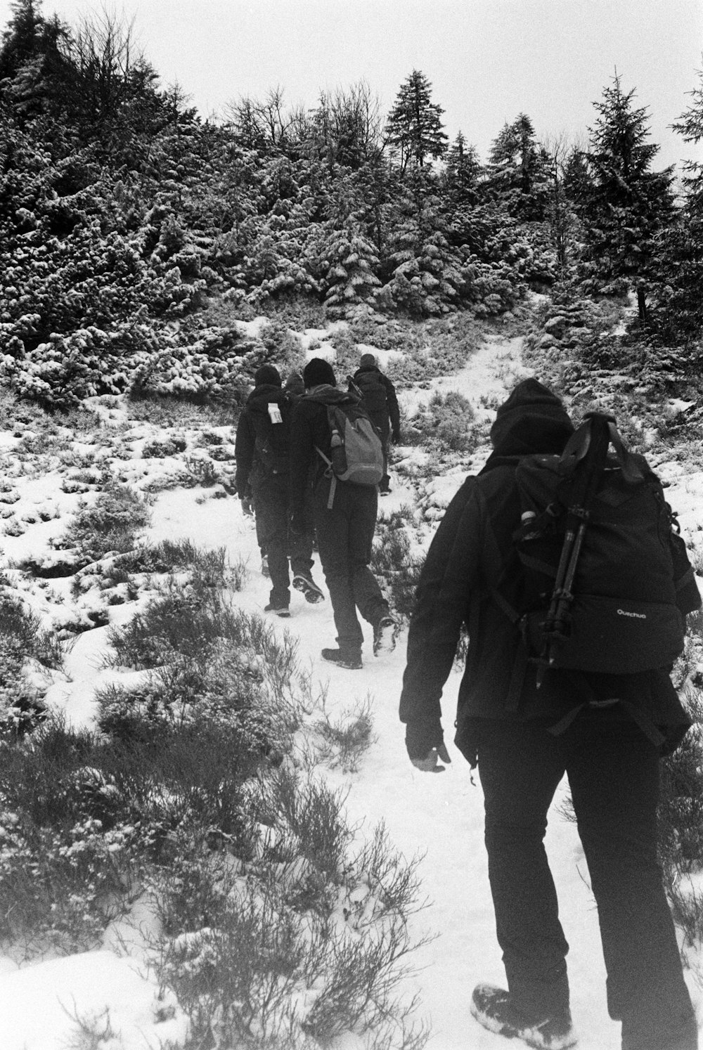 a group of people walking up a snow covered hill