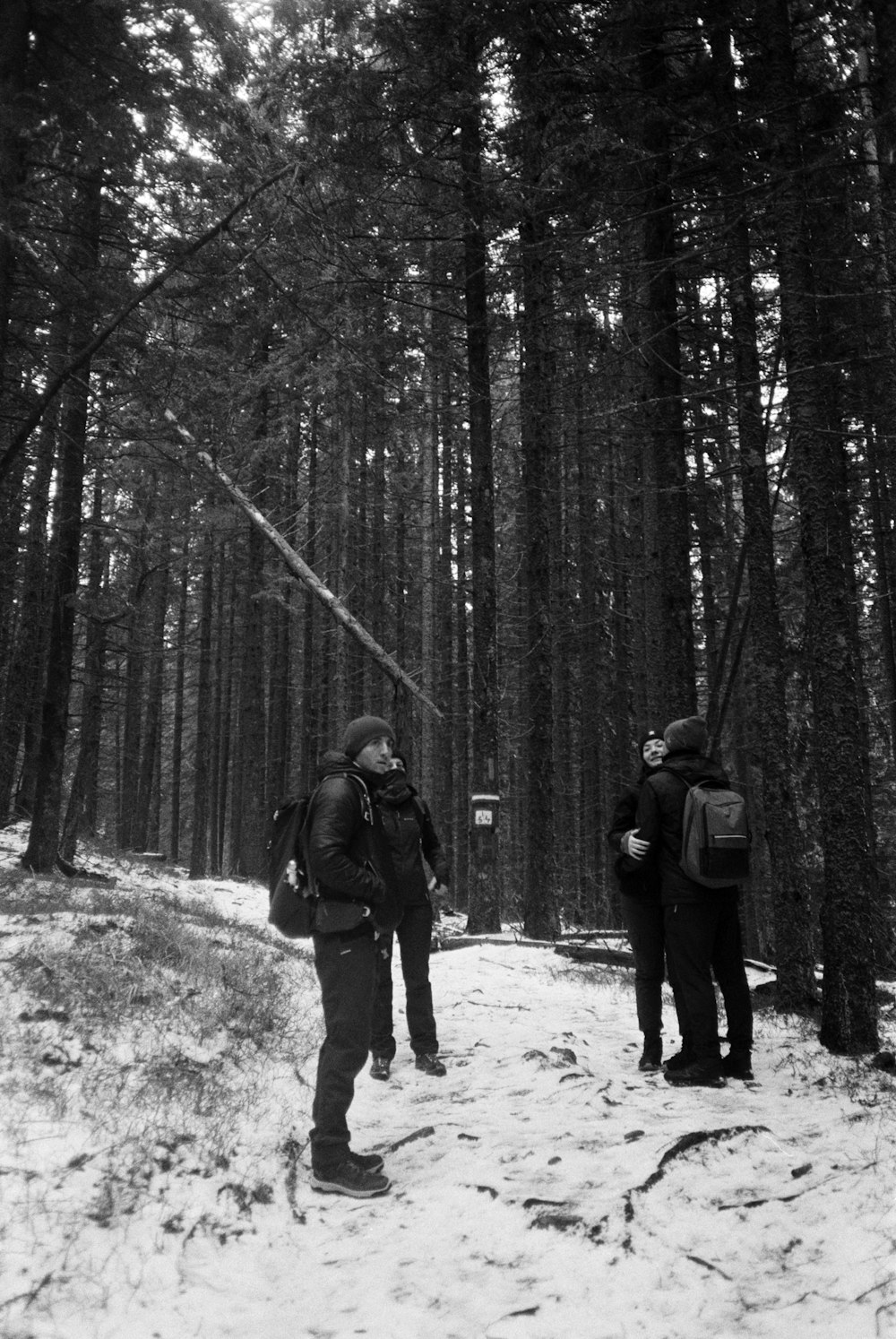 two people walking through the woods in the snow