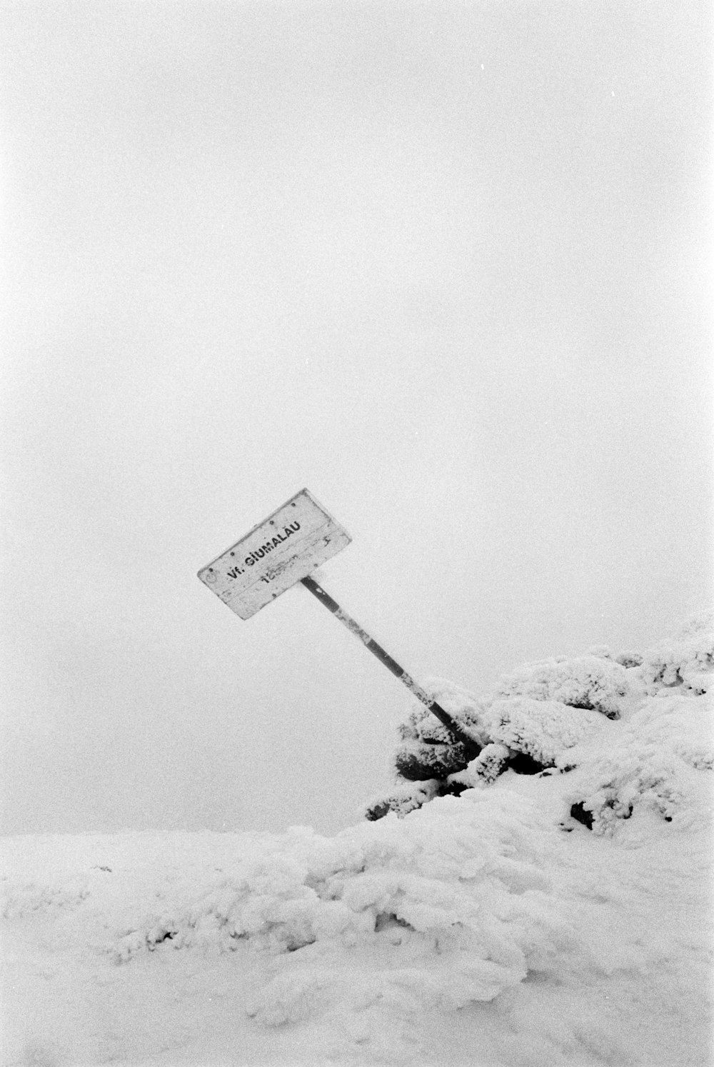 a sign sticking out of the snow covered ground
