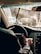 A person is driving a car viewed from the back seat, with a close-up of their hand on the steering wheel. The windshield appears dusty or wet, reflecting sunlight and partially obscuring the view of the road and other vehicles.