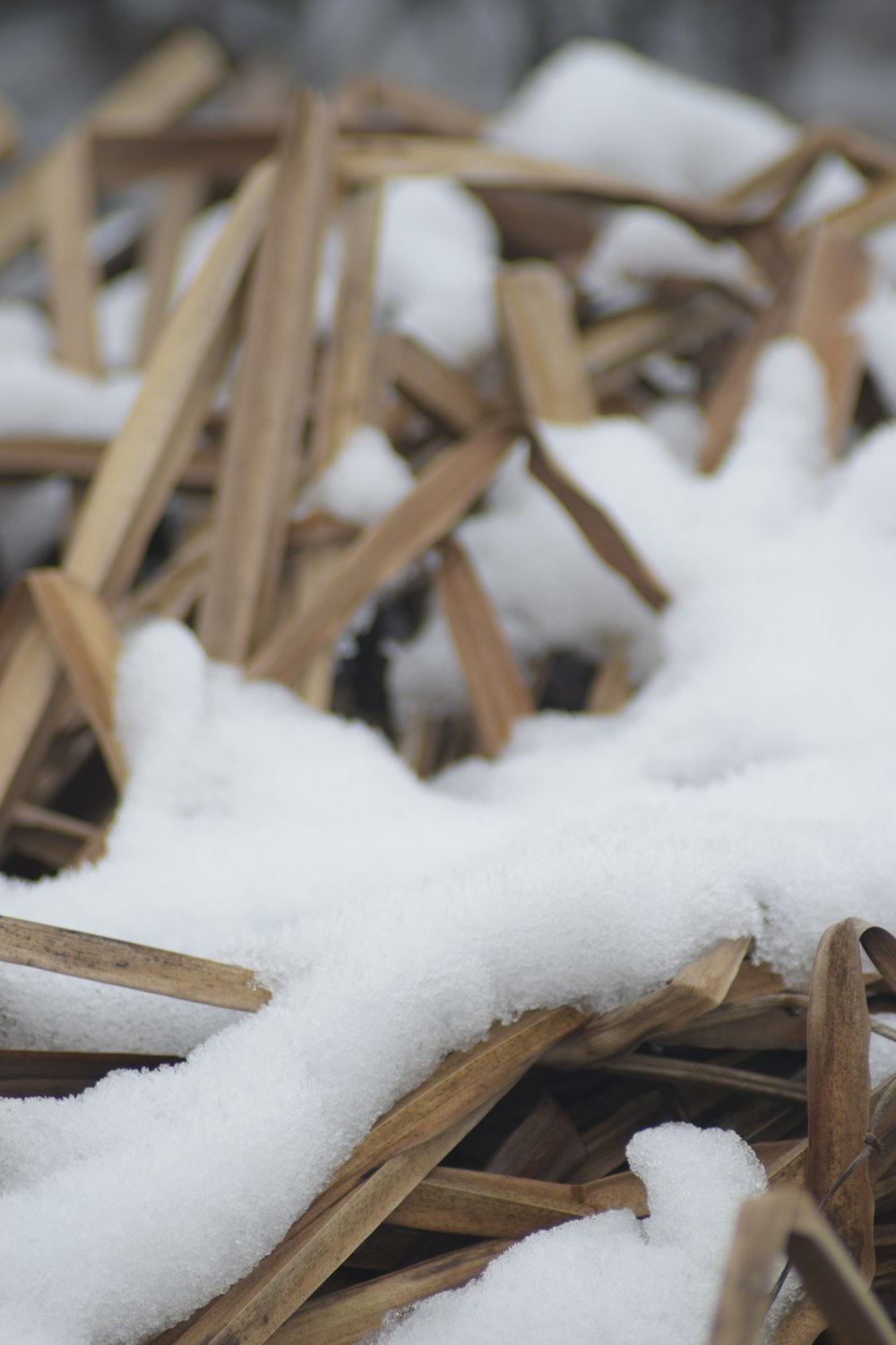 a pile of snow sitting on top of a pile of wood