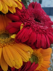 A vibrant close-up of traditional Tamil Nadu flowers in full bloom.