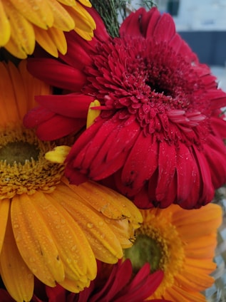 A vibrant close-up of traditional Tamil Nadu flowers in full bloom.
