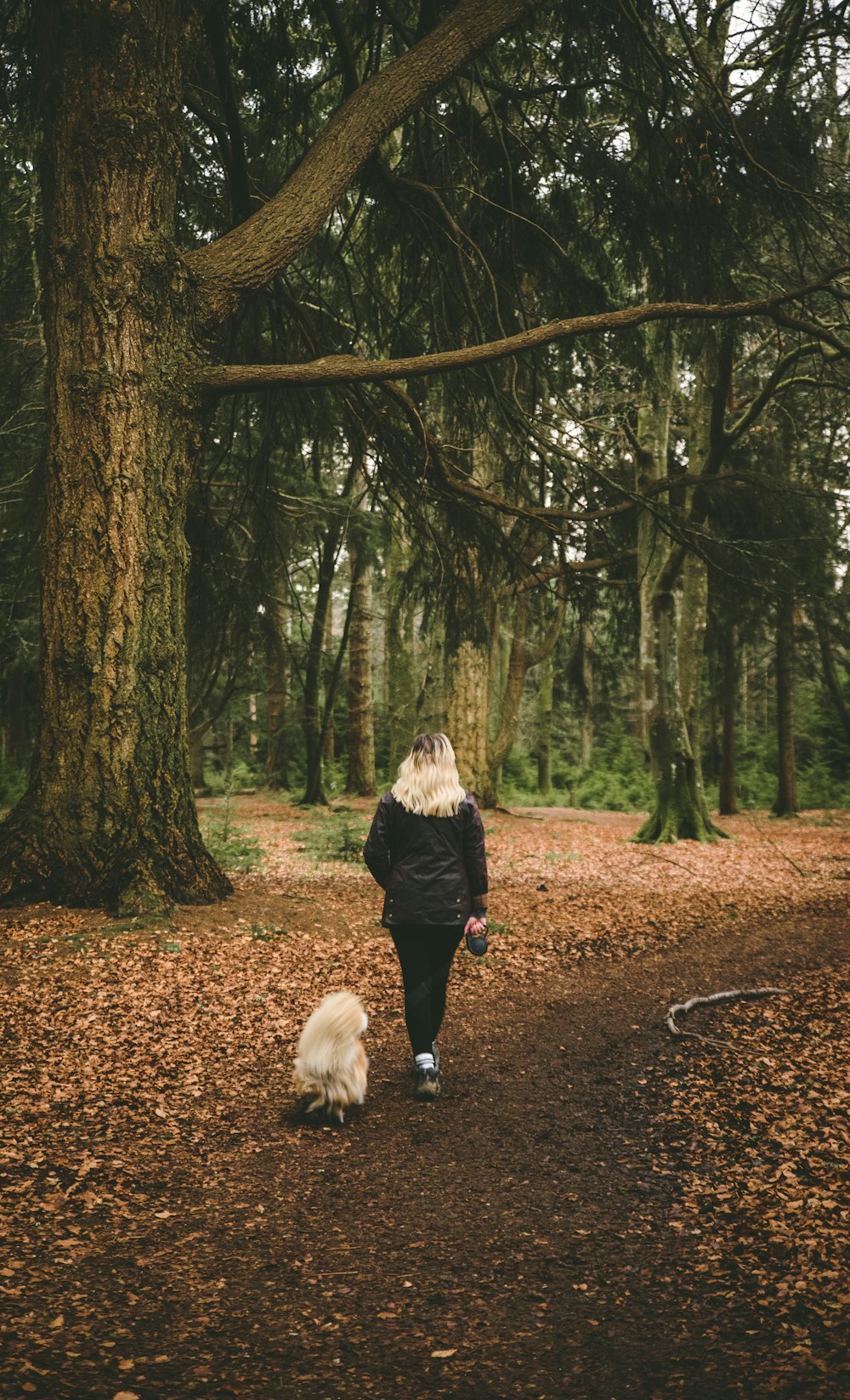 a woman walking her dog in the woods