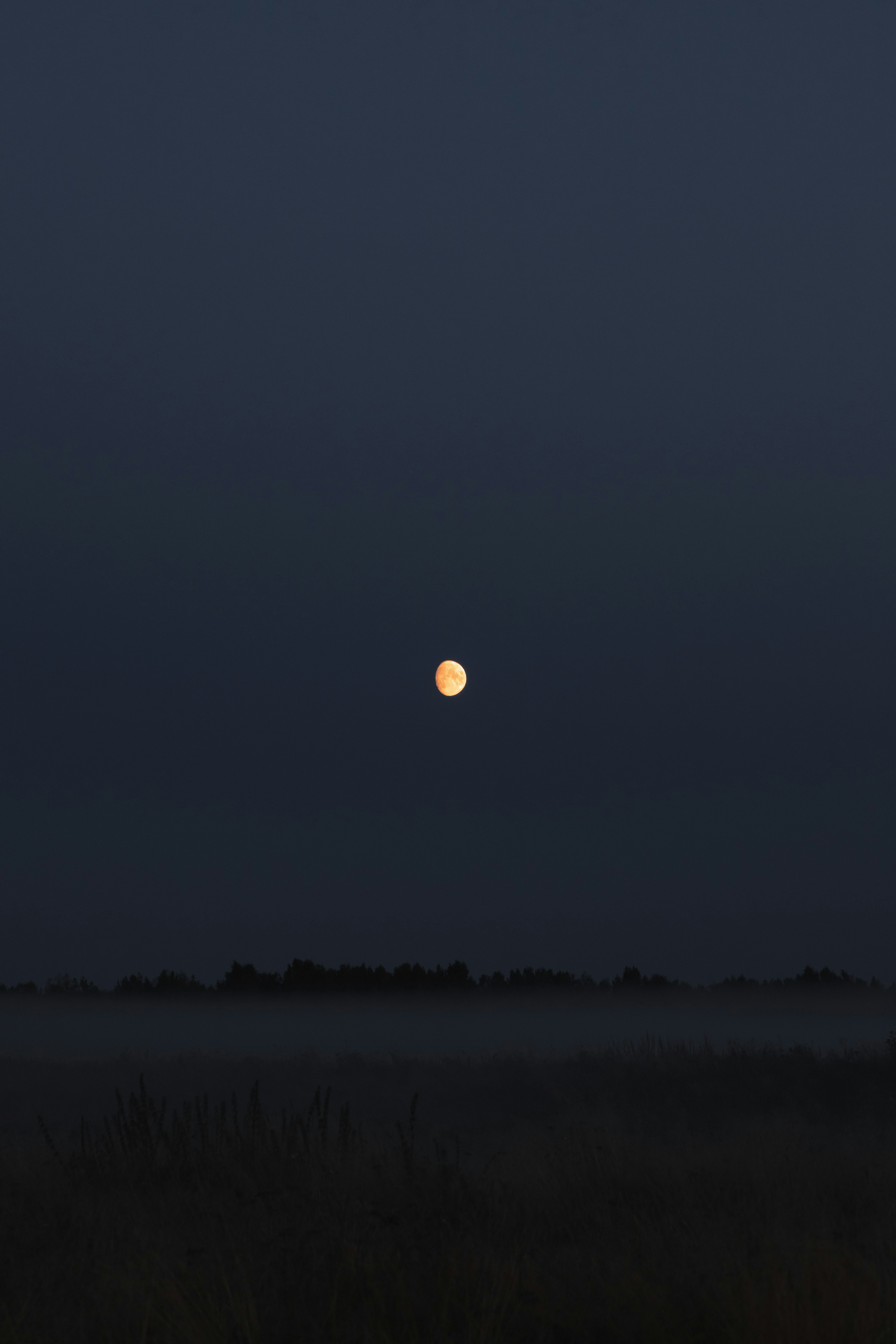 Misconceptions Programmers Have about Names in the UK