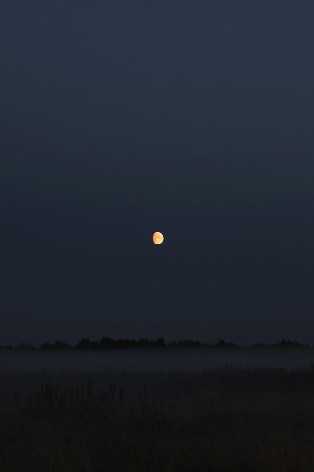 a full moon is seen in the sky over a field