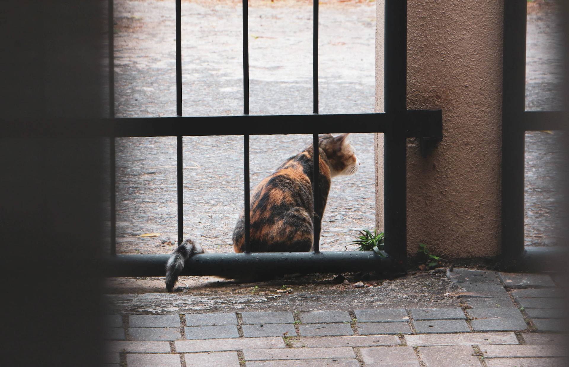 woman wearing yellow long-sleeved dress under white clouds and blue sky during daytime