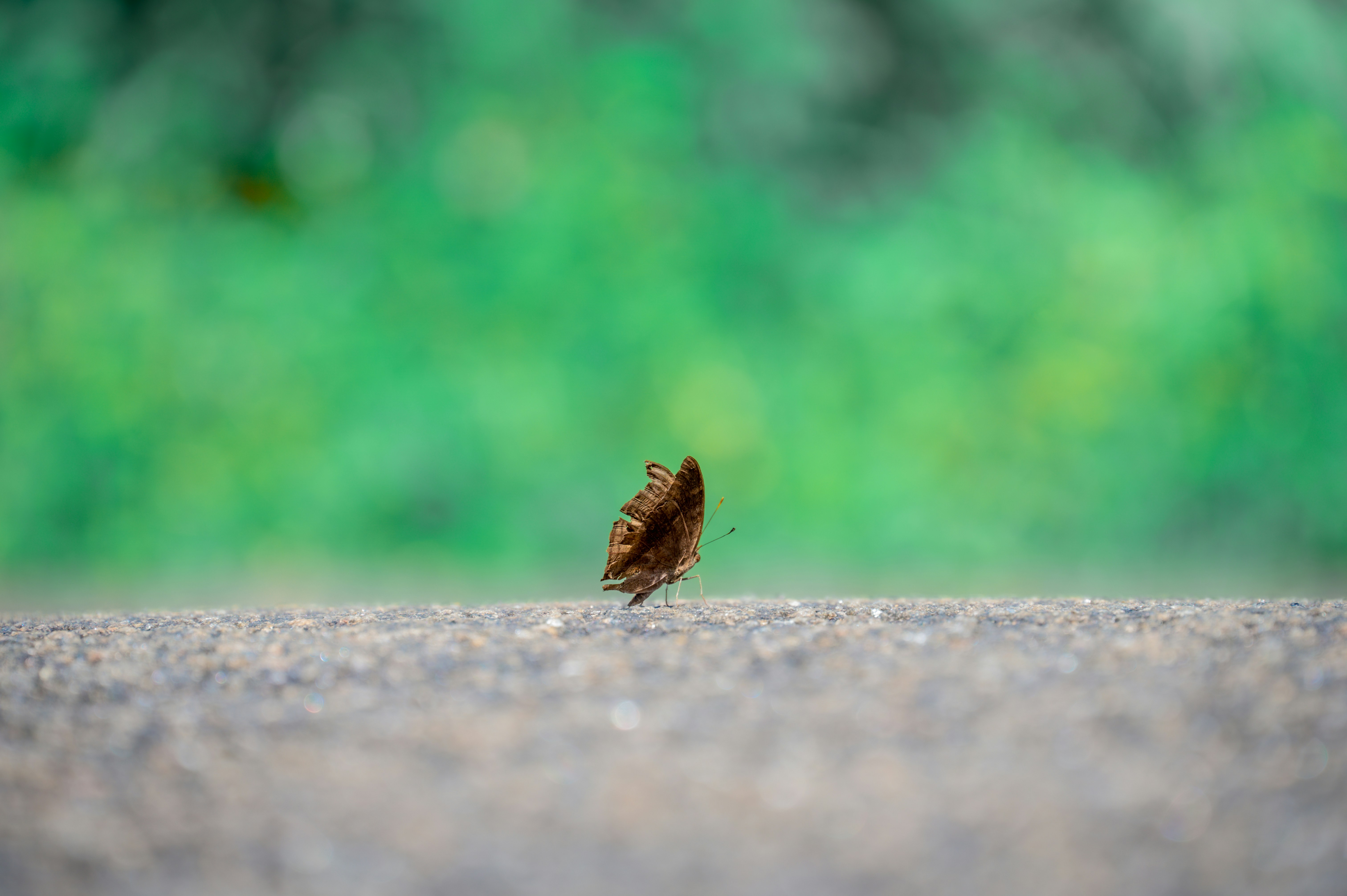 Photo by adiiipatel09