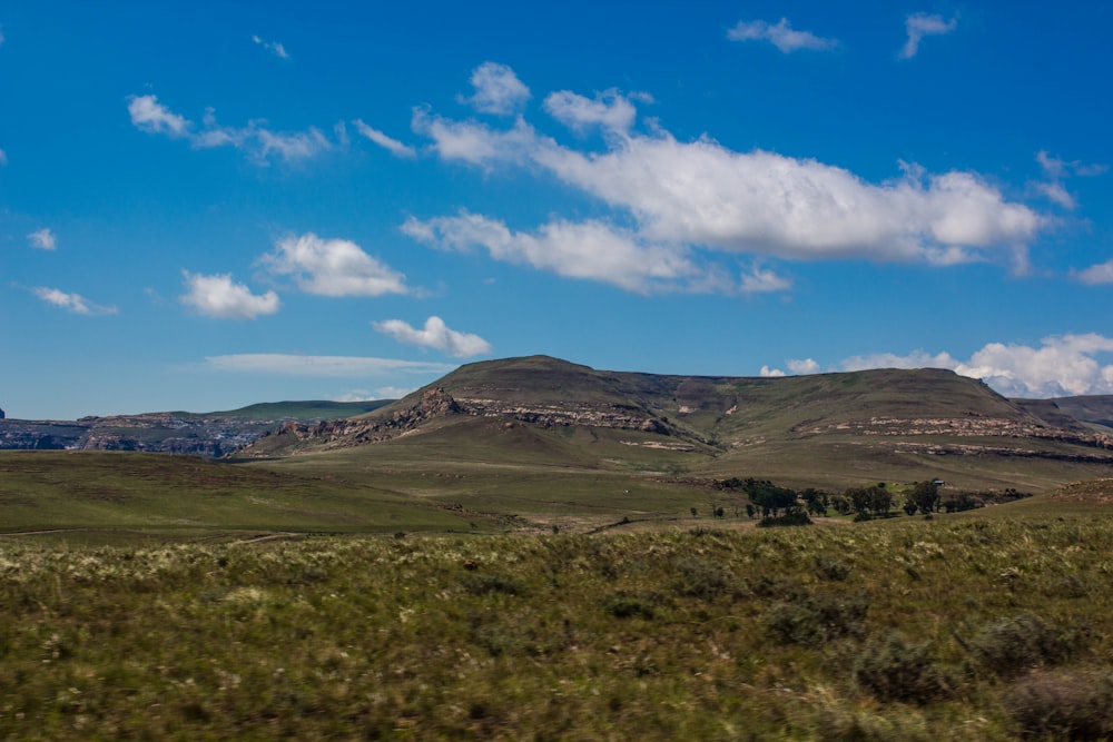 a grassy field with a mountain in the background