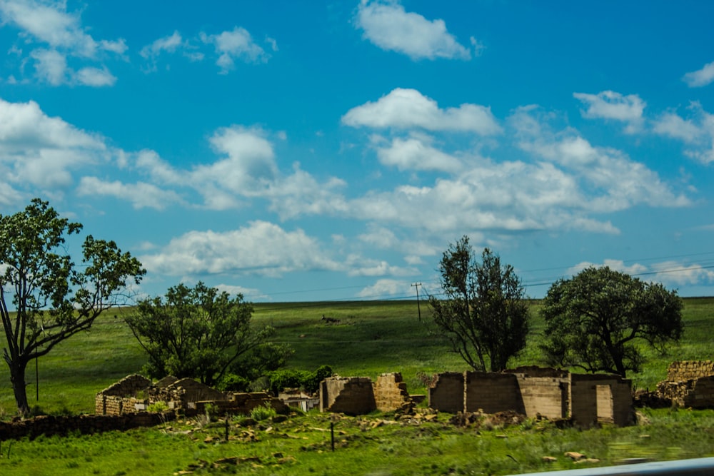 a grassy field with trees and a building