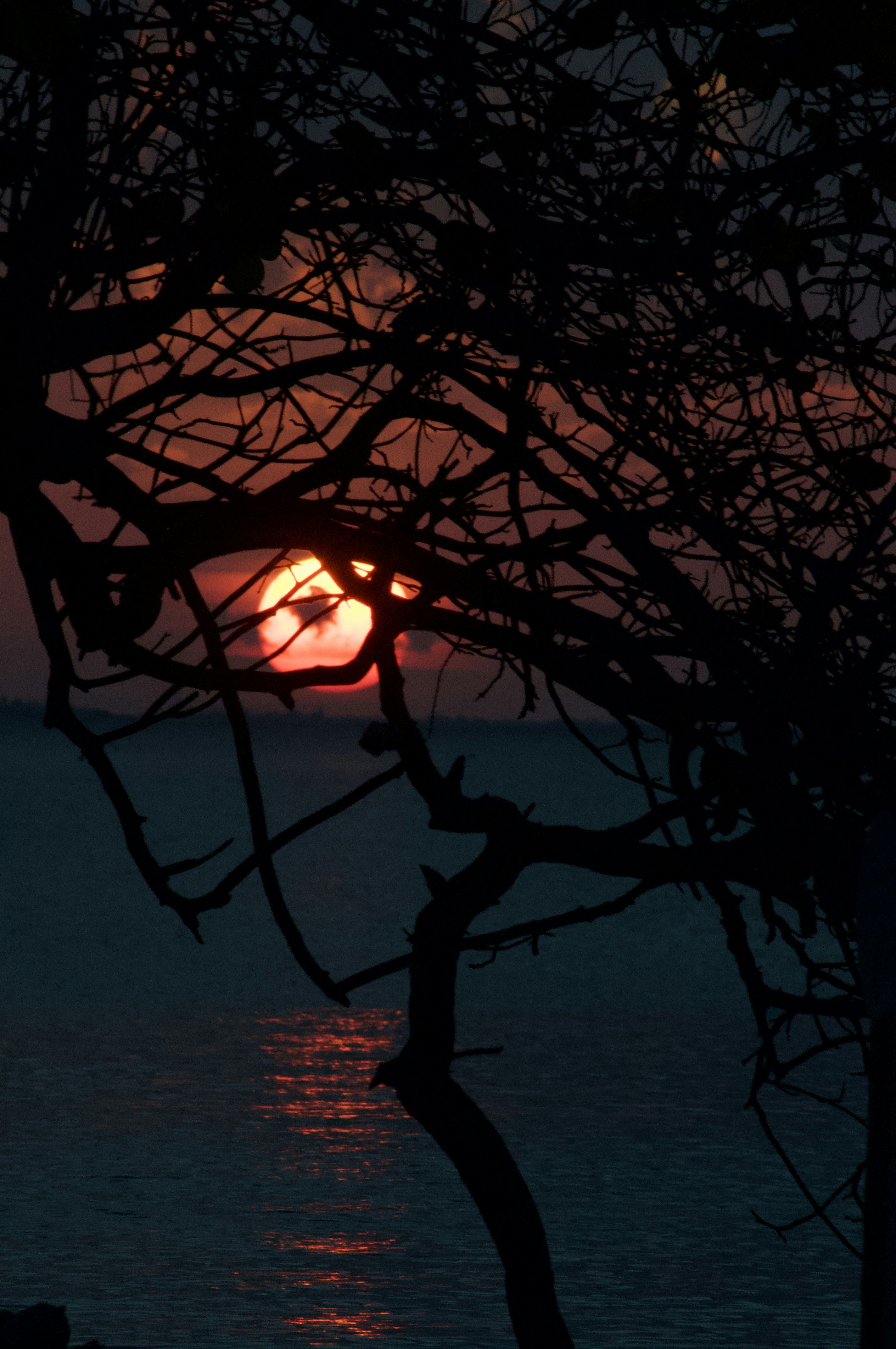 Photo by alexanderphotography