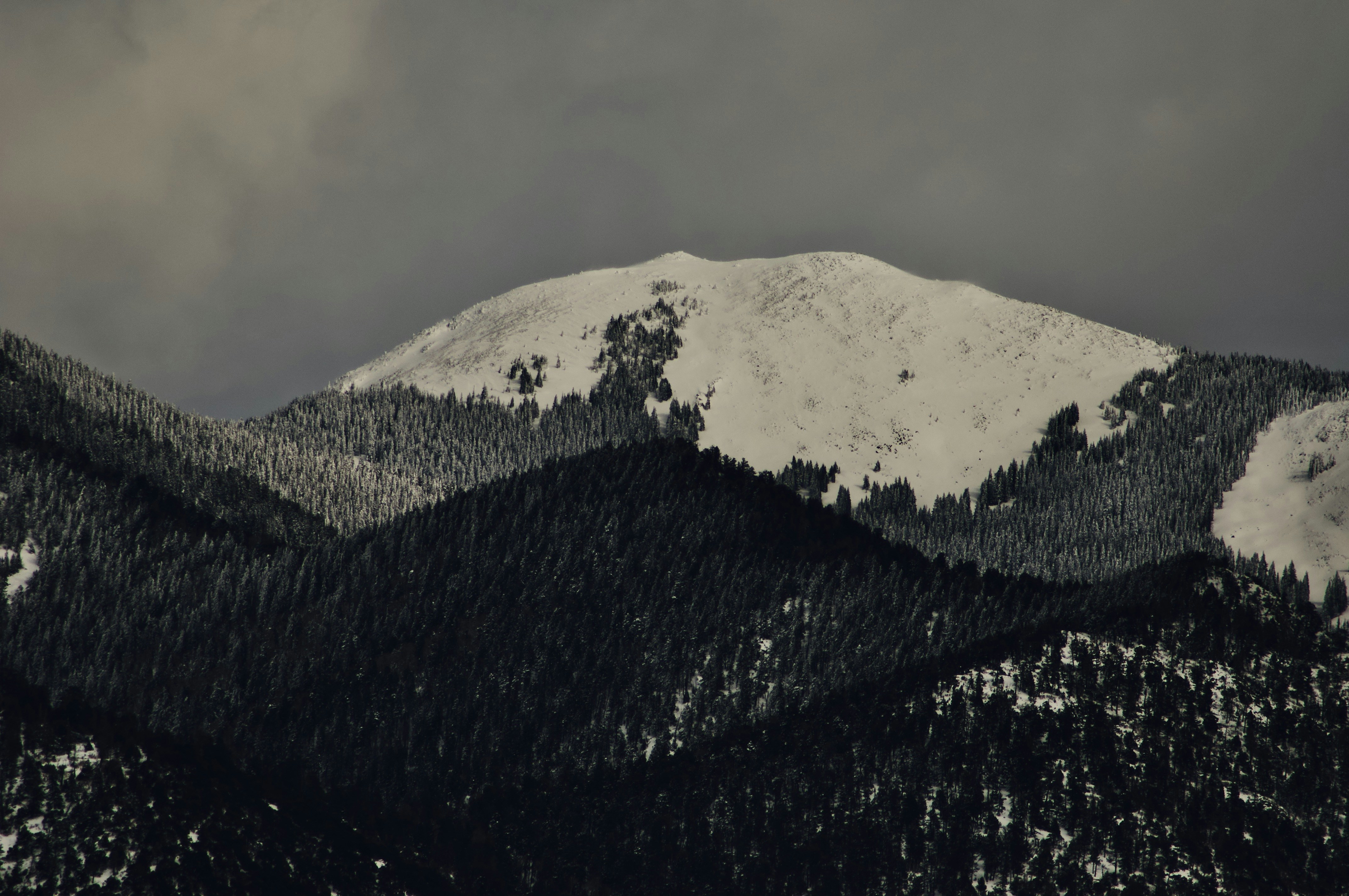 Photo by alexanderphotography