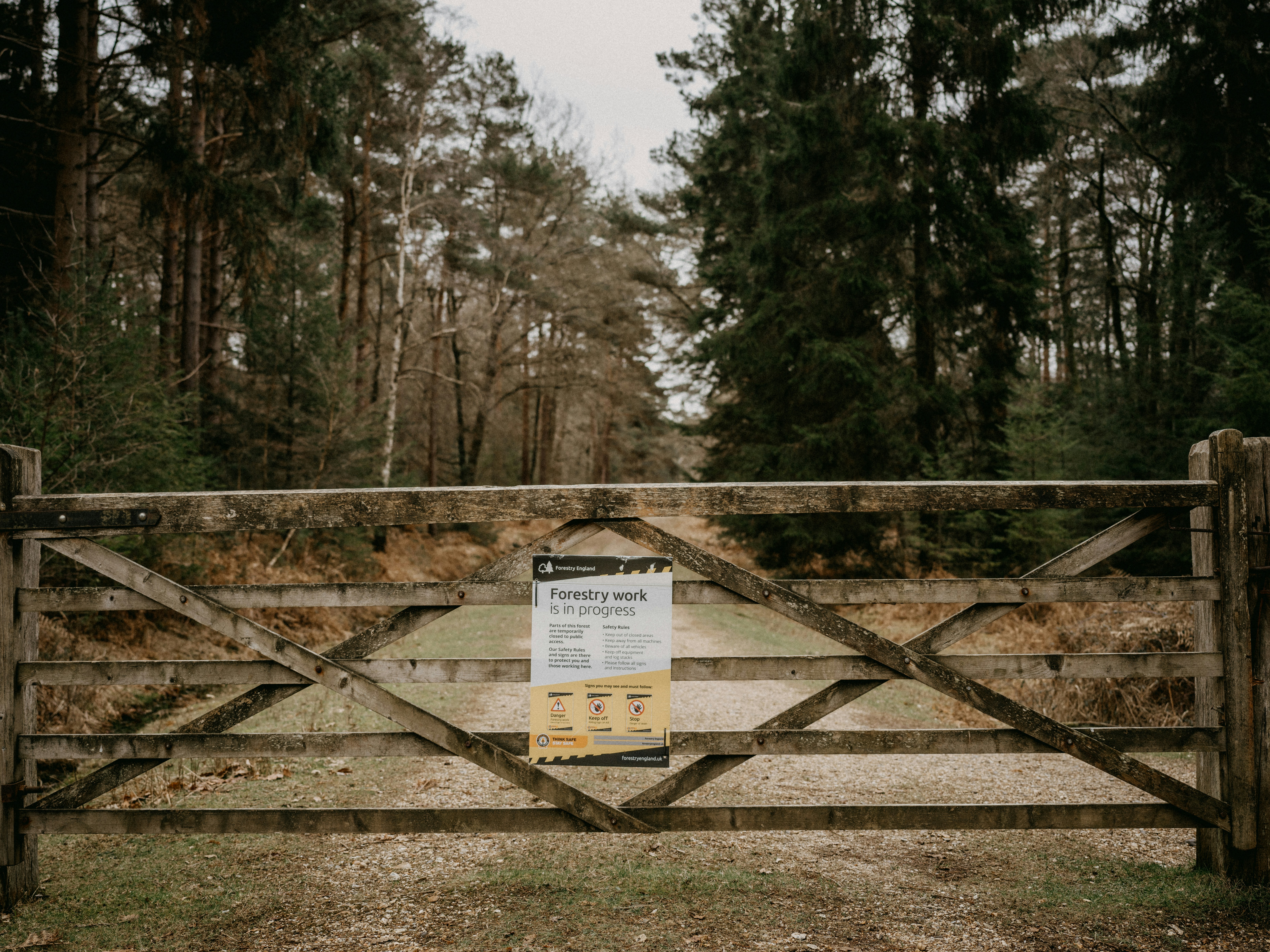 Photo by anniespratt