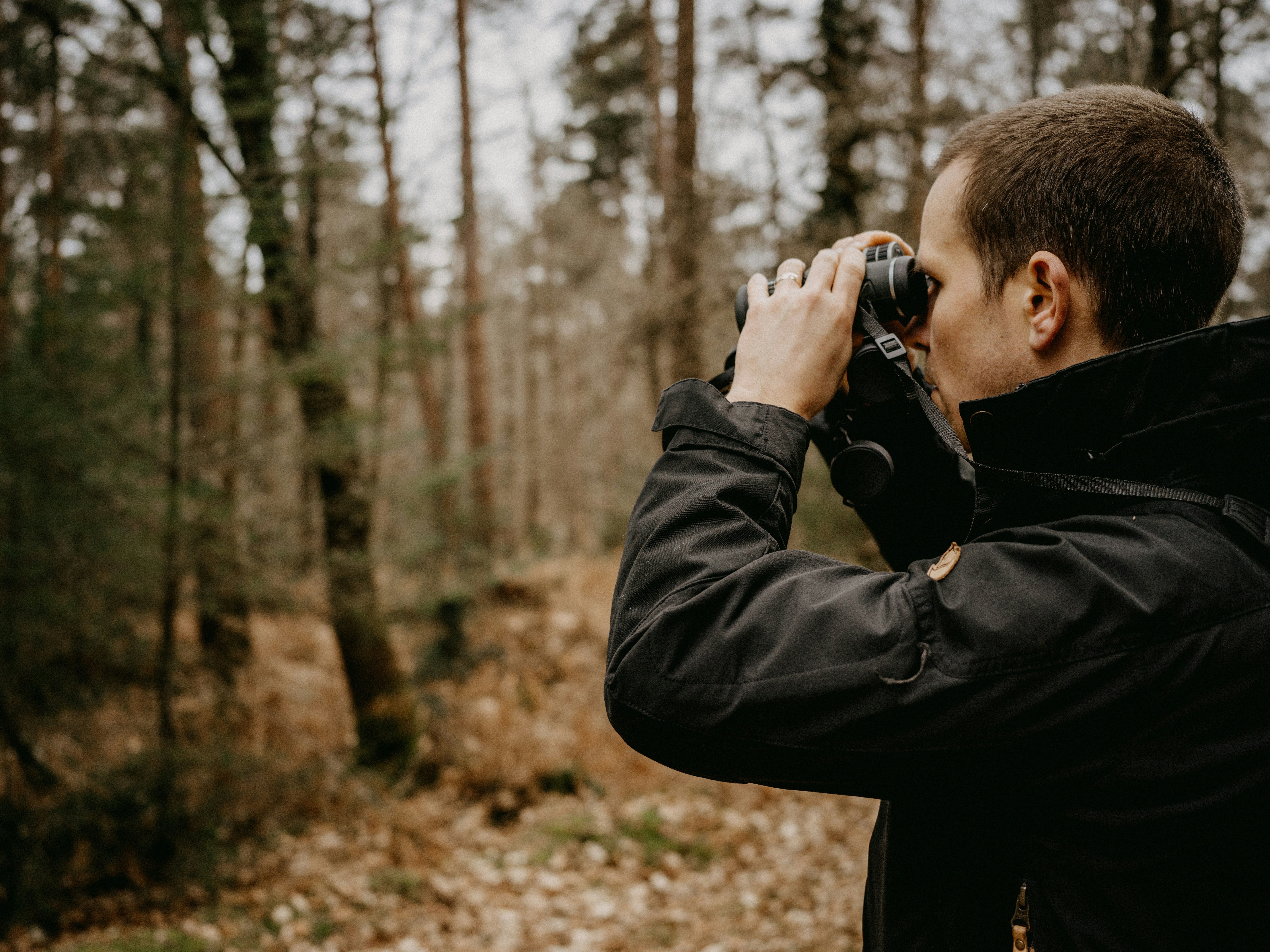 Local Guide: Winter Birding Near Austin — How Discovery Tools Help You See More
