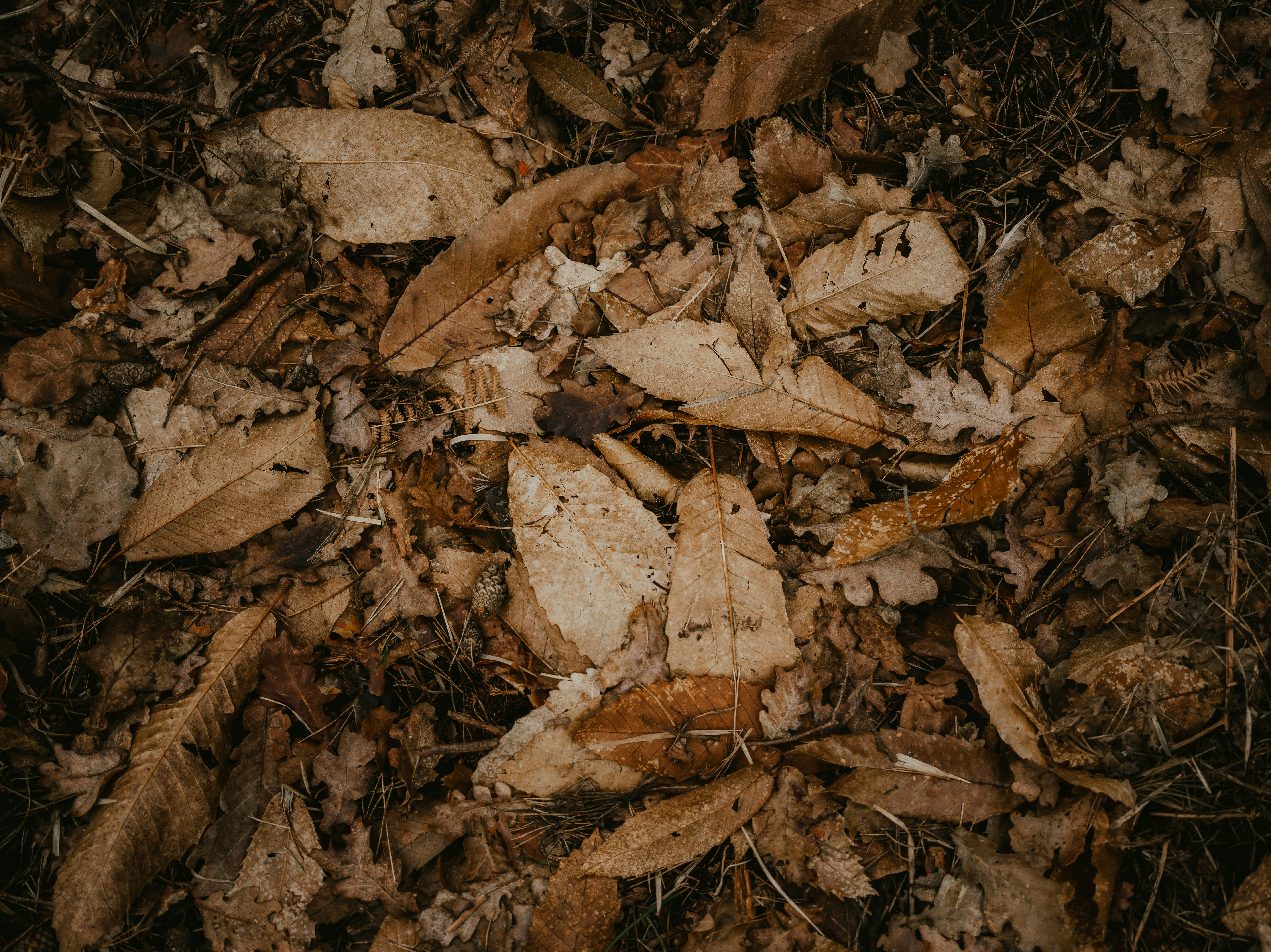 Photo by anniespratt