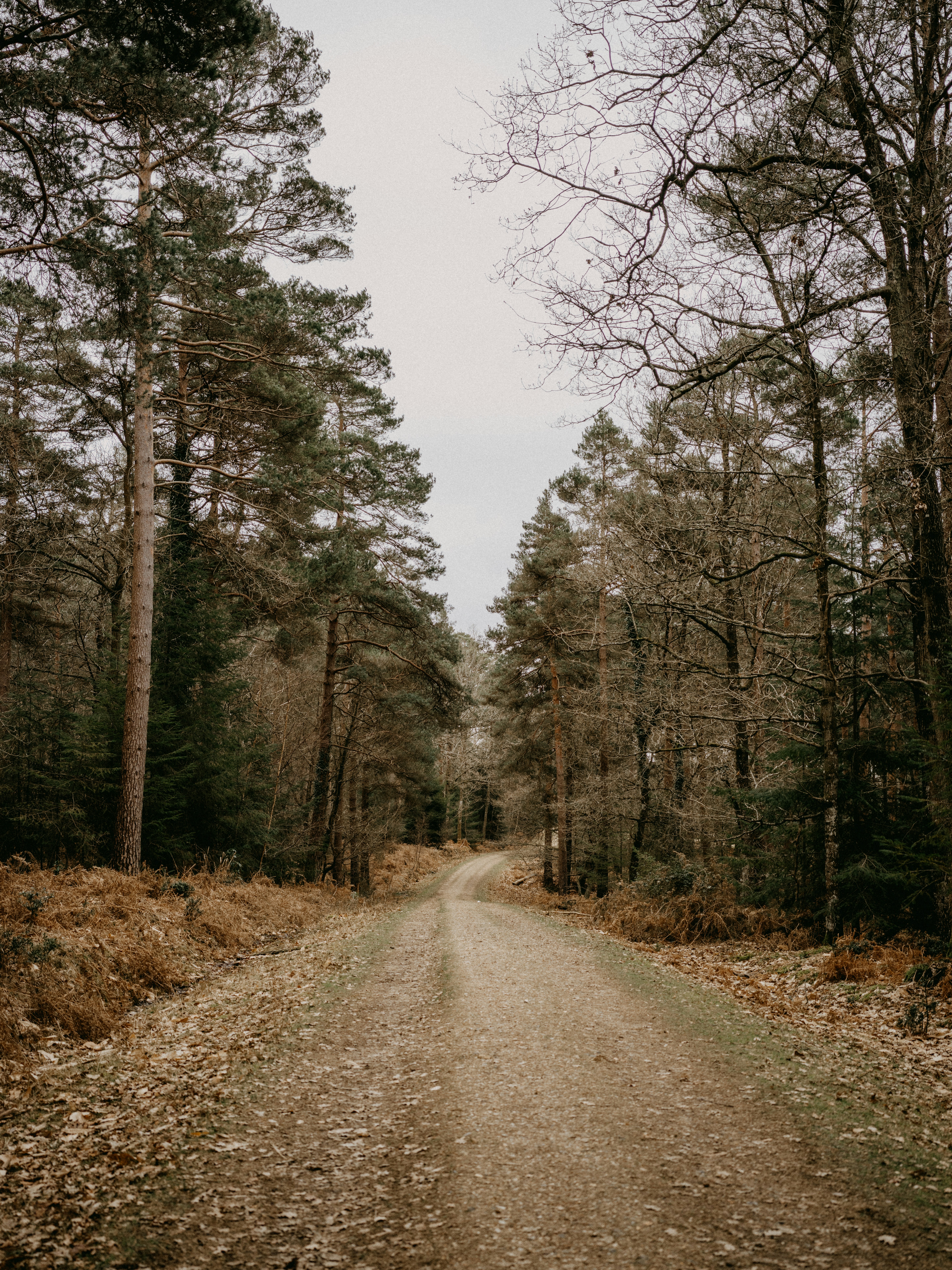 Photo by anniespratt