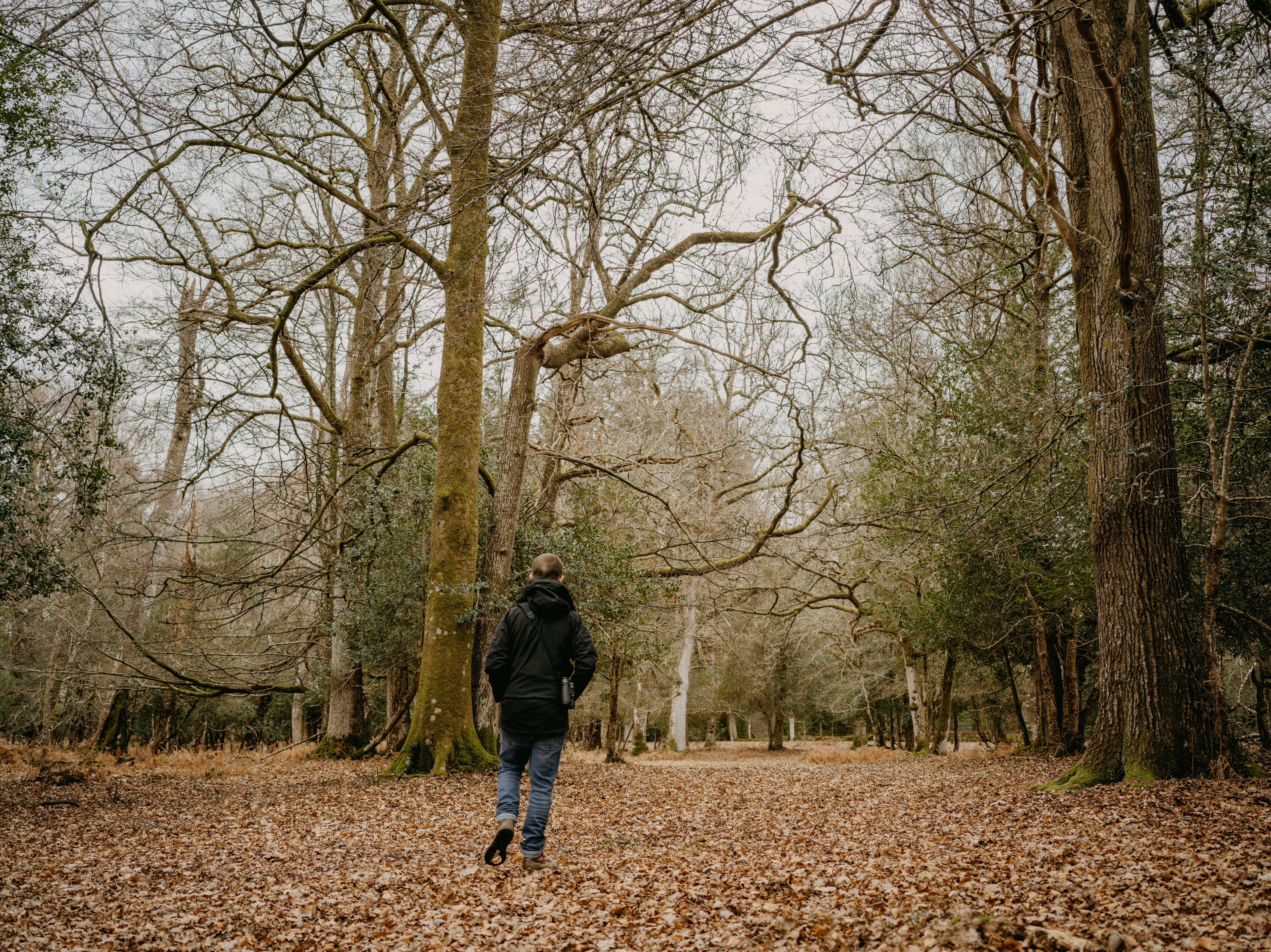 Photo by anniespratt