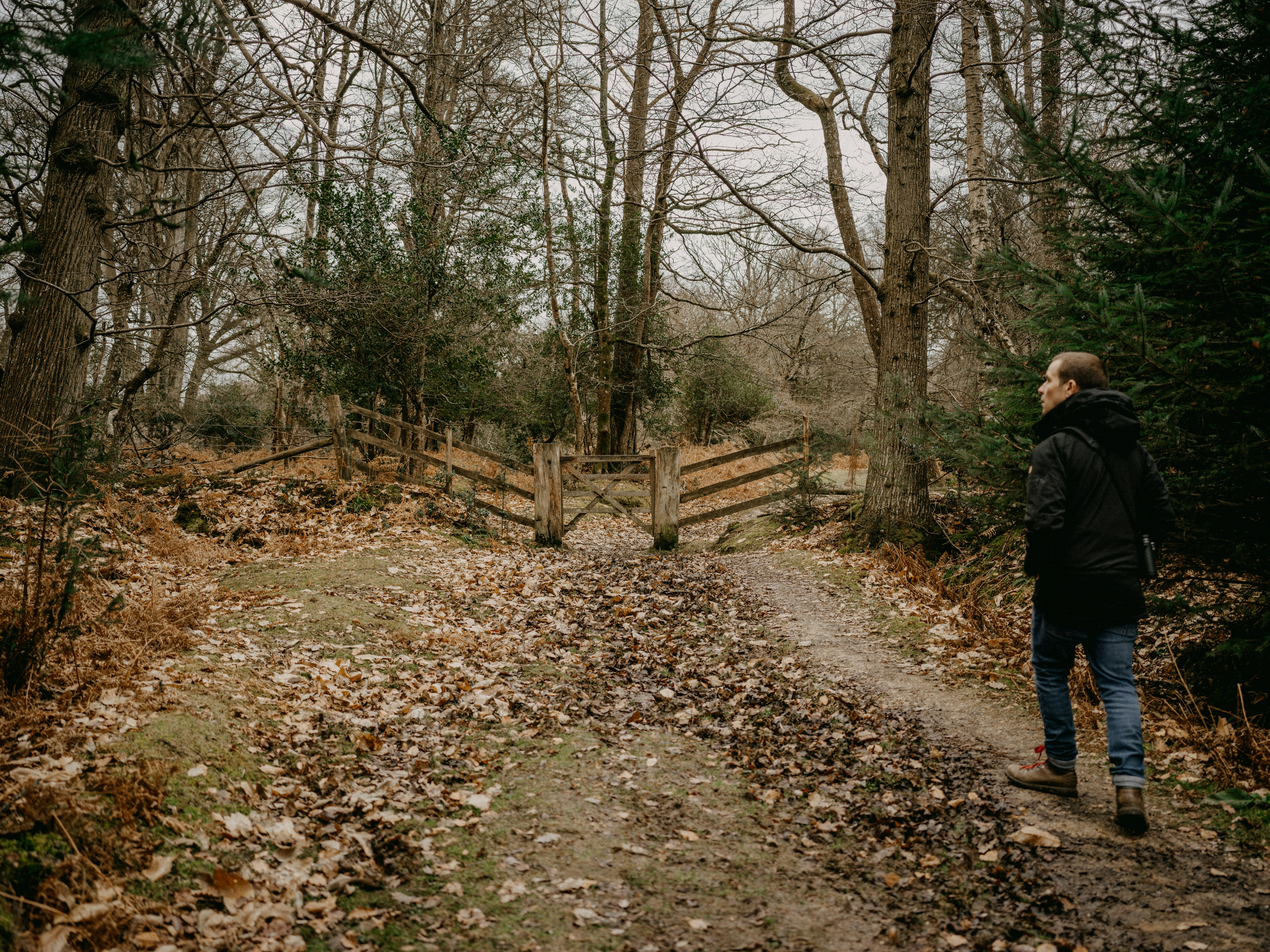 Photo by anniespratt