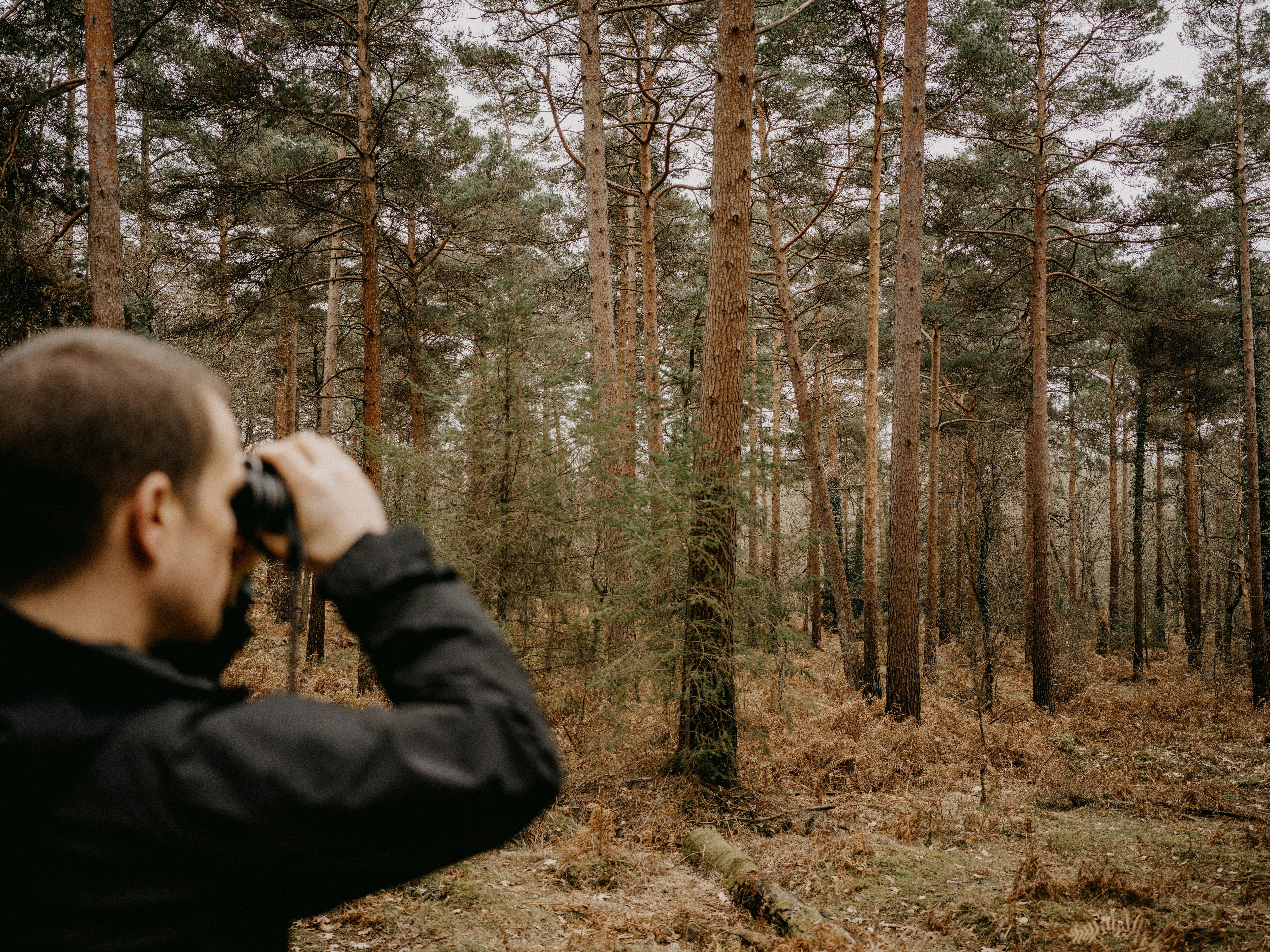 um homem tirando uma foto de uma floresta