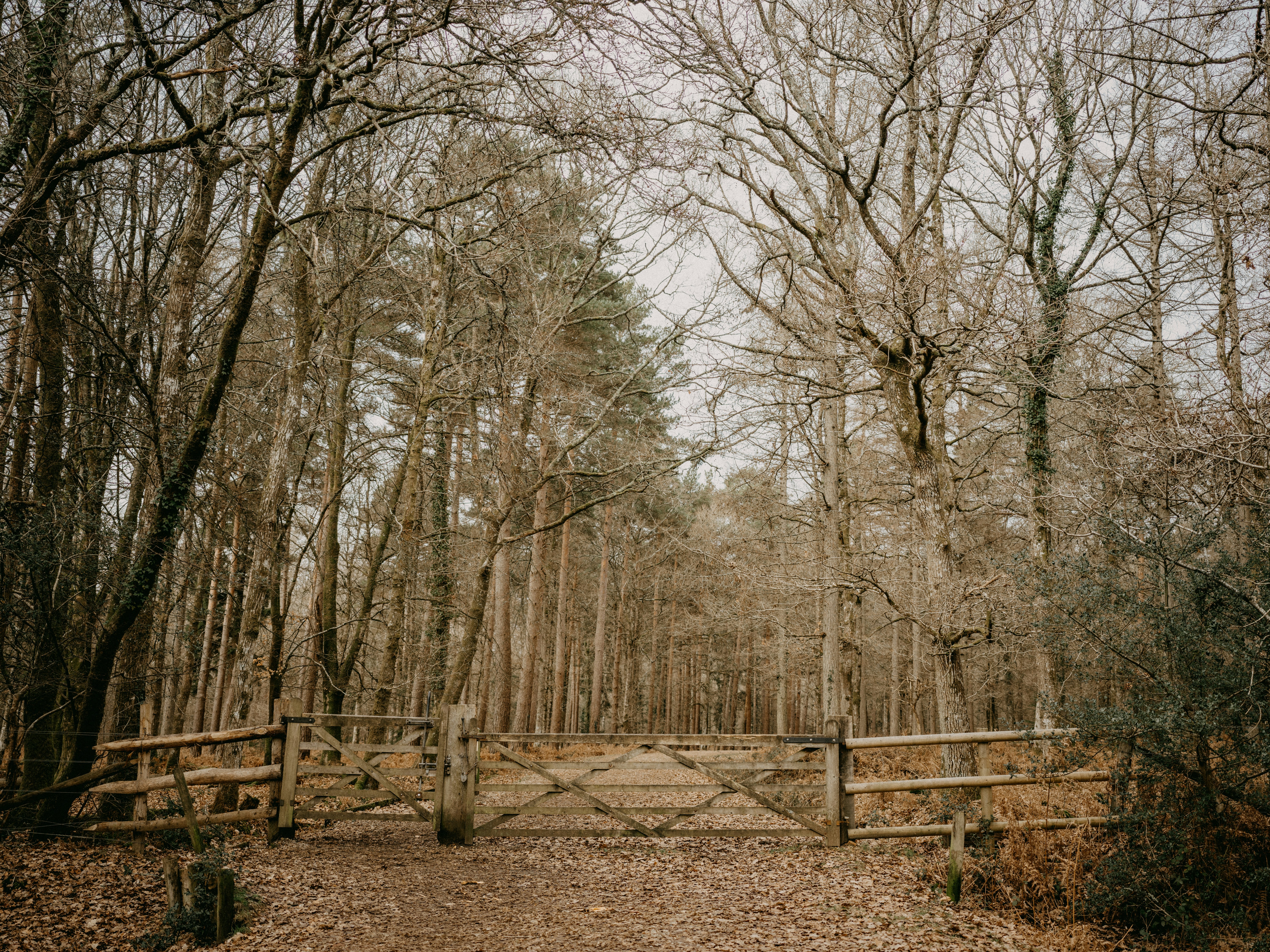 Photo by anniespratt