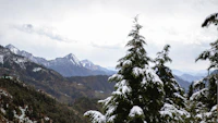 Best Places to Work From in Dhanaulti: A Remote Worker's Guide