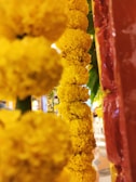 Close-up of vibrant marigold flowers arranged for a ritual.