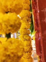 Bright yellow marigold flowers are arranged in a vertical garland. The scene is vibrant and the flowers appear fresh and densely packed together. There is a reddish-brown textured background on the right side.