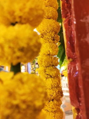 Bright yellow marigold flowers are arranged in a vertical garland. The scene is vibrant and the flowers appear fresh and densely packed together. There is a reddish-brown textured background on the right side.