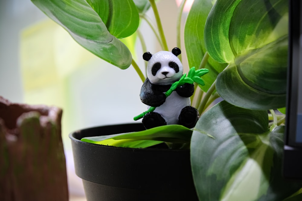 Un petit ours panda assis au sommet d’une plante