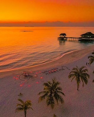 A romantic beach proposal at sunset.